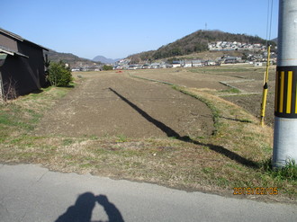 201986155415.JPG